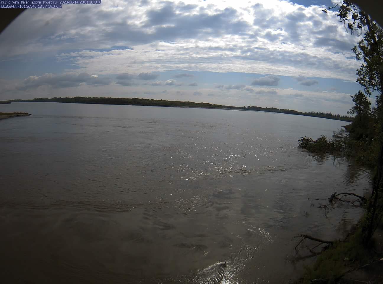 Kuskokwim_River_above_Kwethluk_20200614200111.jpg
